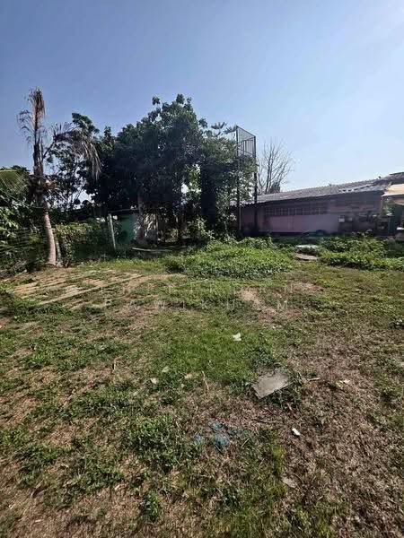2-BR House, Chon Buri (Pattaya), Sattahip, Chon Buri (Pattaya), 2 Bedrooms, 66 sqm, Single Detached House For Sale, by Thitiporn Pawikham, 500583872 - DDproperty.com