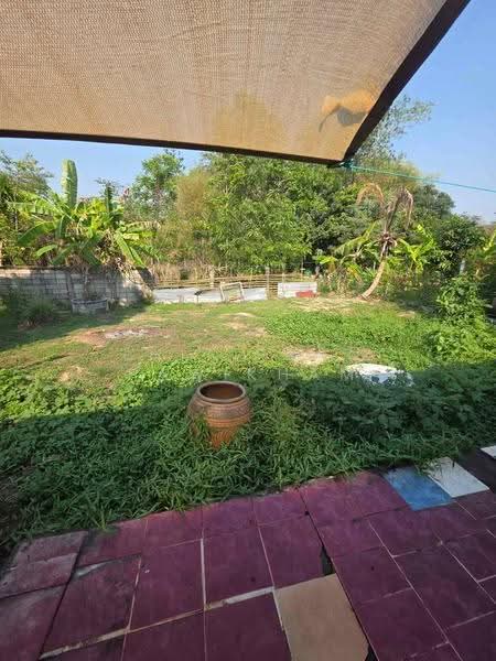 บ้าน 2-ห้องนอน, ชลบุรี, สัตหีบ, ชลบุรี, 66 ตร.ม., บ้านเดี่ยว ขาย, โดย Thitiporn Pawikham, 500583872 - DDproperty.com
