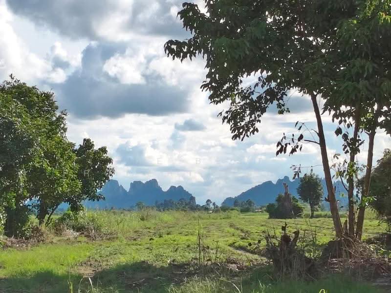 ที่ดินบรรพตพิสัย นครสวรรค์, นครสวรรค์, ตาขีด, บรรพตพิสัย, นครสวรรค์, 14,456 ตร.ม., ที่ดิน ขาย, โดย The Best Property ลูกปัด, 500583960 - DDproperty.com