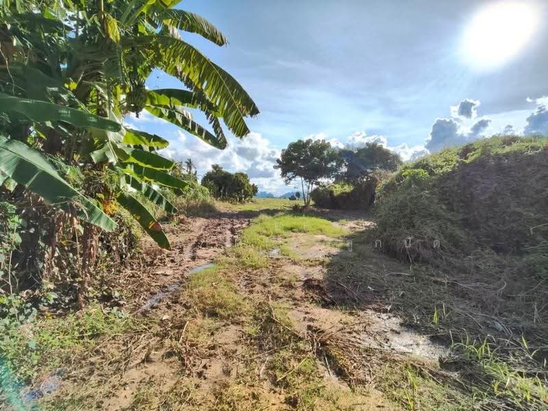 ที่ดินบรรพตพิสัย นครสวรรค์, nakhon-sawan, Ta Khit, Banphot Phisai, Nakhon Sawan, , 14,456 sqm, Land For Sale, by The Best Property ลูกปัด, 500583960 - DDproperty.com