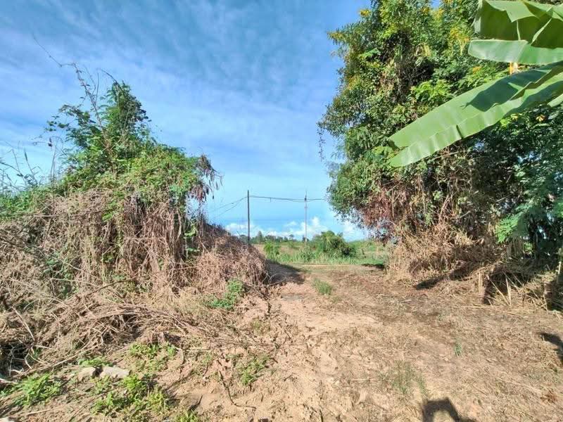 ที่ดินบรรพตพิสัย นครสวรรค์, nakhon-sawan, Ta Khit, Banphot Phisai, Nakhon Sawan, , 14,456 sqm, Land For Sale, by The Best Property ลูกปัด, 500583960 - DDproperty.com