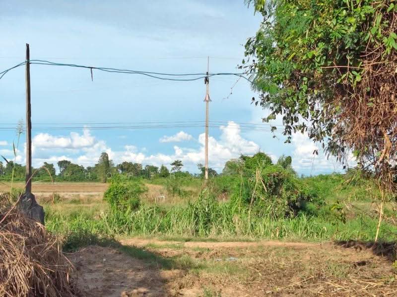 ที่ดินบรรพตพิสัย นครสวรรค์, นครสวรรค์, ตาขีด, บรรพตพิสัย, นครสวรรค์, 14,456 ตร.ม., ที่ดิน ขาย, โดย The Best Property ลูกปัด, 500583960 - DDproperty.com