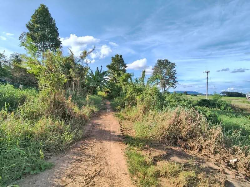 ที่ดินบรรพตพิสัย นครสวรรค์, nakhon-sawan, Ta Khit, Banphot Phisai, Nakhon Sawan, , 14,456 sqm, Land For Sale, by The Best Property ลูกปัด, 500583960 - DDproperty.com