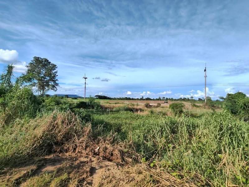 ที่ดินบรรพตพิสัย นครสวรรค์, nakhon-sawan, Ta Khit, Banphot Phisai, Nakhon Sawan, , 14,456 sqm, Land For Sale, by The Best Property ลูกปัด, 500583960 - DDproperty.com