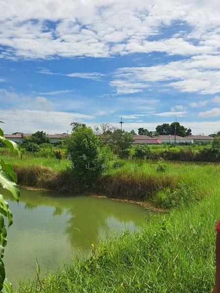 Khok Nong Na, Phanat Nikhom District, Chon Buri Province, chon-buri, Na Phrathat, Phanat Nikhom, Chon Buri (Pattaya), , 11,200 sqm, Land For Sale, by ศิริภัสสร โชติประยูรศักดิ์, 500584117 - DDproperty.com