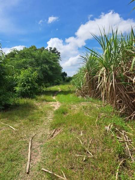 Khok Nong Na, Phanat Nikhom District, Chon Buri Province, chon-buri, Na Phrathat, Phanat Nikhom, Chon Buri (Pattaya), , 11,200 sqm, Land For Sale, by ศิริภัสสร โชติประยูรศักดิ์, 500584117 - DDproperty.com