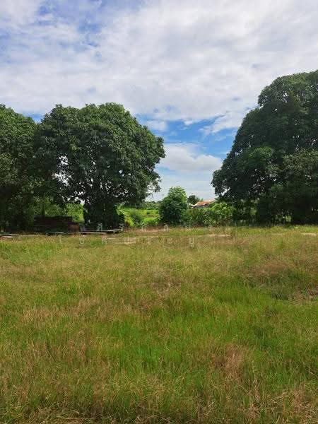 Khok Nong Na, Phanat Nikhom District, Chon Buri Province, chon-buri, Na Phrathat, Phanat Nikhom, Chon Buri (Pattaya), , 11,200 sqm, Land For Sale, by ศิริภัสสร โชติประยูรศักดิ์, 500584117 - DDproperty.com