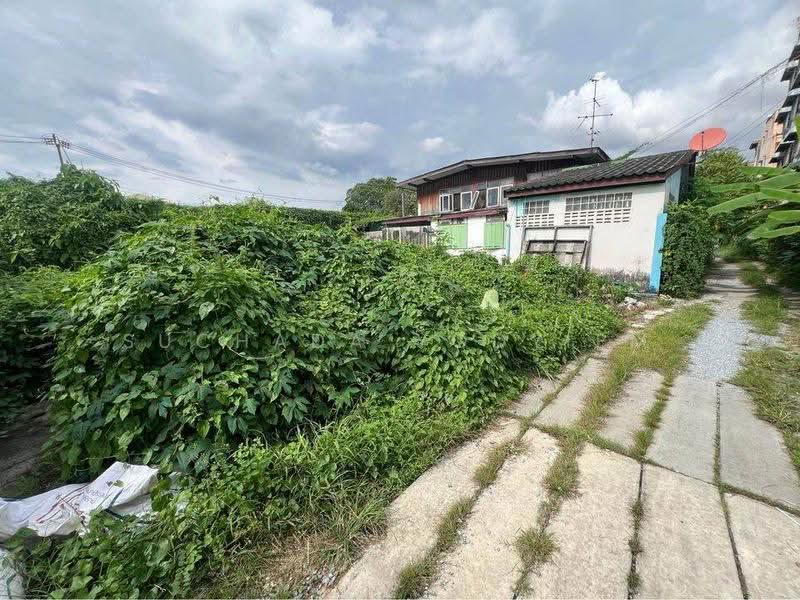 Studio House, Bangkok, Arun Amarin, Bangkok Noi, Bangkok, Studio, 47 sqm, Single Detached House For Sale, by Suchada Yodyiem, 500584474 - DDproperty.com