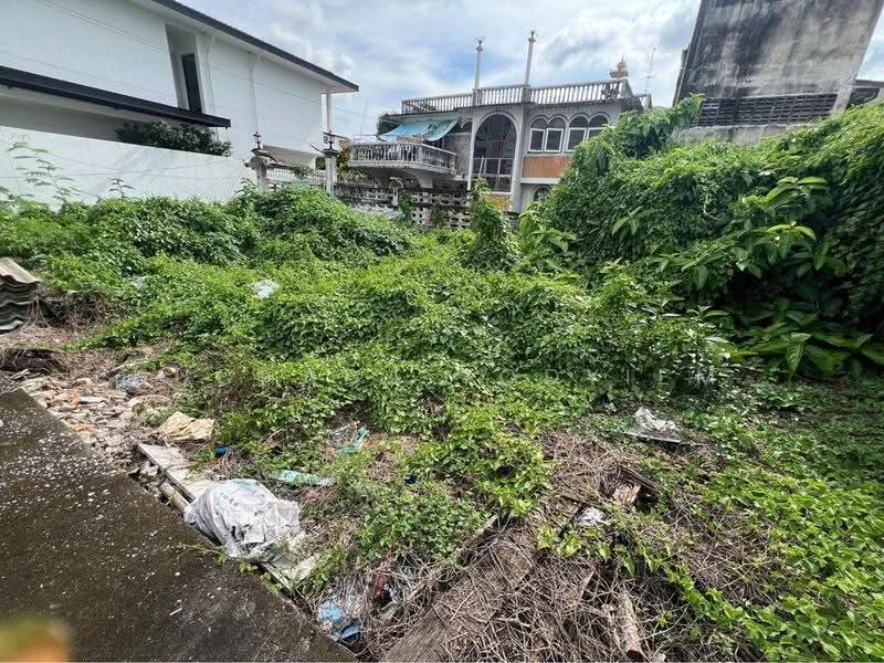 บ้าน สตูดิโอ, กรุงเทพ, อรุณอมรินทร์, บางกอกน้อย, กรุงเทพ, 47 ตร.ม., บ้านเดี่ยว ขาย, โดย Suchada Yodyiem, 500584474 - DDproperty.com