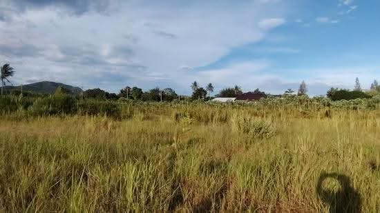 9-2-82 Rai | Excellent Land Investment Opportunity Fast Growing Home Development, prachuap-khiri-khan, Hin Lek Fai, Hua Hin, Prachuap Khiri Khan, , 15,528 sqm, Land For Sale, by จิรัชฎ์ เบ็ญจรัตน์, 500584703 - DDproperty.com