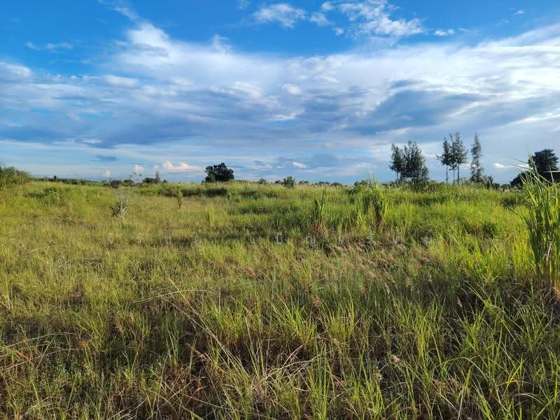 9-2-82 Rai | Excellent Land Investment Opportunity Fast Growing Home Development, prachuap-khiri-khan, Hin Lek Fai, Hua Hin, Prachuap Khiri Khan, , 15,528 sqm, Land For Sale, by จิรัชฎ์ เบ็ญจรัตน์, 500584703 - DDproperty.com