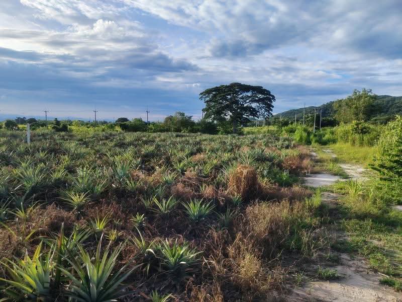 9-2-82 Rai | Excellent Land Investment Opportunity Fast Growing Home Development, prachuap-khiri-khan, Hin Lek Fai, Hua Hin, Prachuap Khiri Khan, , 15,528 sqm, Land For Sale, by จิรัชฎ์ เบ็ญจรัตน์, 500584703 - DDproperty.com