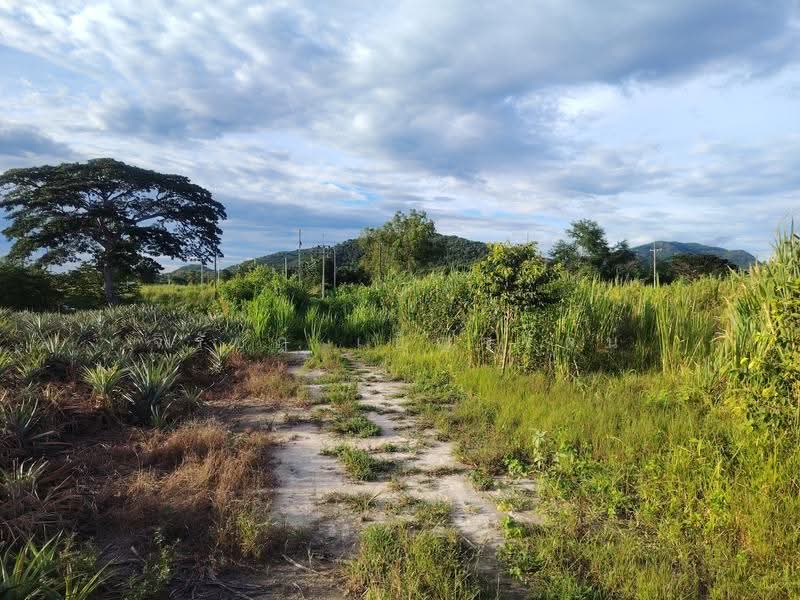 9-2-82 Rai | Excellent Land Investment Opportunity Fast Growing Home Development, prachuap-khiri-khan, Hin Lek Fai, Hua Hin, Prachuap Khiri Khan, , 15,528 sqm, Land For Sale, by จิรัชฎ์ เบ็ญจรัตน์, 500584703 - DDproperty.com