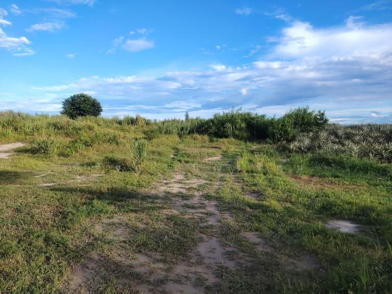 9-2-82 Rai | Excellent Land Investment Opportunity Fast Growing Home Development, prachuap-khiri-khan, Hin Lek Fai, Hua Hin, Prachuap Khiri Khan, , 15,528 sqm, Land For Sale, by จิรัชฎ์ เบ็ญจรัตน์, 500584703 - DDproperty.com