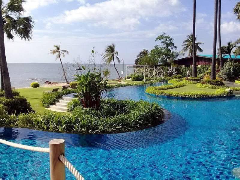 The Palm Wongamat Beach, chon-buri, Soi Naklua 16, Na Kloe, Bang Lamung (Pattaya), Chon Buri (Pattaya), Studio, 33 sqm, Condo For Sale, by Thanyalag Chanchodtanakul, 500584740 - DDproperty.com