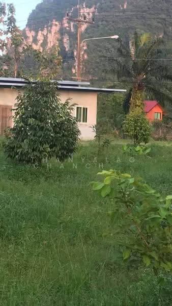 1-BR House, surat-thani, Tha Chana, Surat Thani, 1 Bedroom, 83 sqm, Single Detached House For Sale, by Thanyalag Chanchodtanakul, 500584754 - DDproperty.com