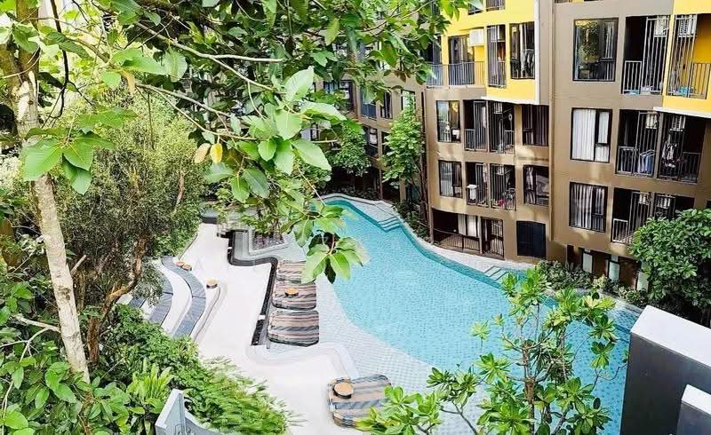 The Base Central, phuket, Chao Fah Tawan Tok Rd, Wichit, Muang Phuket, Phuket, 1 Bedroom, 29 sqm, Condo For Rent, by Fazwaz (Thailand) Co., Ltd., 500584763 - DDproperty.com
