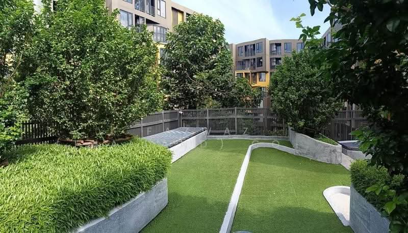 The Base Central, phuket, Chao Fah Tawan Tok Rd, Wichit, Muang Phuket, Phuket, 1 Bedroom, 29 sqm, Condo For Rent, by Fazwaz (Thailand) Co., Ltd., 500584763 - DDproperty.com