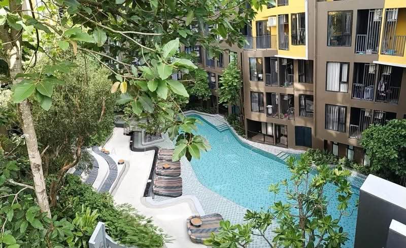 The Base Central, phuket, Chao Fah Tawan Tok Rd, Wichit, Muang Phuket, Phuket, 1 Bedroom, 29 sqm, Condo For Rent, by Fazwaz (Thailand) Co., Ltd., 500584763 - DDproperty.com