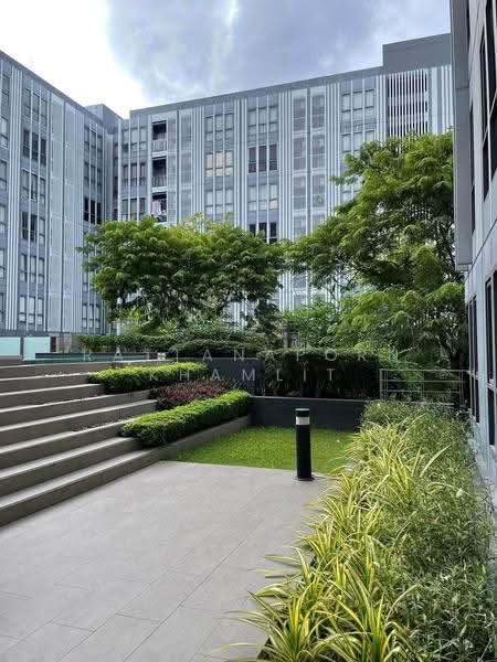 Moniiq Sukhumvit 64, Bangkok, Soi Sukhumvit 64, Bang Chak, Phra Khanong, Bangkok, 1 Bedroom, 32 sqm, Condo For Rent, by Rattanaporn Khamlit, 500584841 - DDproperty.com