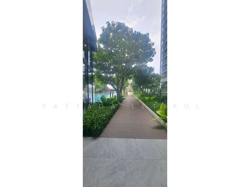 IDEO Sukhumvit Rama 4, bangkok, Soi Sukhumvit 44, Sukhumvit Road, Phra Kanong, Khlong Toei, Bangkok, 2 Bedrooms, 45 sqm, Condo For Rent, by Pattada Letikul, 500584885 - DDproperty.com