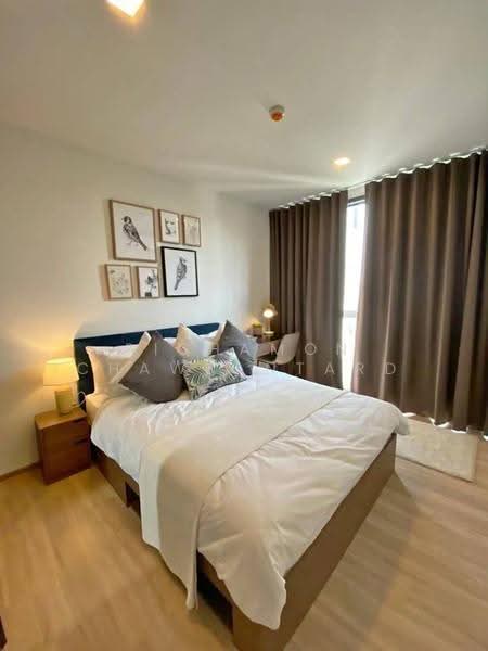Taka Haus, bangkok, 99 Soi Ekamai 10, Khlong Tan Nua, Watthana, Bangkok, 1 Bedroom, 35 sqm, Condo For Rent, by Pichamon Chawbantard, 500584913 - DDproperty.com