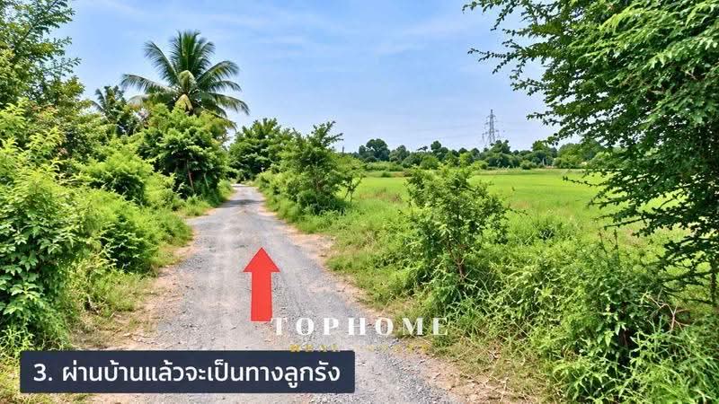 ขายด่วน! ที่ดินเปล่า ซอยแบนชะโด 2 ที่ดินถมแล้ว เขตคลองสามวา กรุงเทพมหานคร, กรุงเทพ, ทรายกองดินใต้, คลองสามวา, กรุงเทพ, 624 ตร.ม., ที่ดิน ขาย, โดย คุณกบ, 500584942 - DDproperty.com