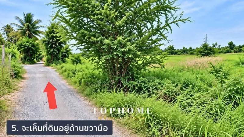 ขายด่วน! ที่ดินเปล่า ซอยแบนชะโด 2 ที่ดินถมแล้ว เขตคลองสามวา กรุงเทพมหานคร, กรุงเทพ, ทรายกองดินใต้, คลองสามวา, กรุงเทพ, 624 ตร.ม., ที่ดิน ขาย, โดย คุณกบ, 500584942 - DDproperty.com