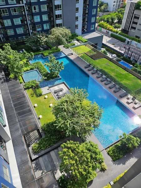 The Base Sukhumvit 77 : เดอะ เบส สุขุมวิท 77, กรุงเทพ, 289 ถนนสุขุมวิท 77, พระโขนงเหนือ, วัฒนา, กรุงเทพ, 35 ตร.ม., คอนโด ให้เช่า, โดย Pattada Letikul, 500585060 - DDproperty.com