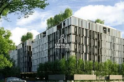 ขาย - Siamese Gioia : ไซมิส จอยญ่า, กรุงเทพ