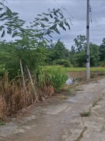 ที่ดินพาน เชียงราย, chiang-rai, Sun Ma Khet, Phan, Chiang Rai, , 4,488 sqm, Land For Sale, by The Best Property ไนล์, 500585227 - DDproperty.com
