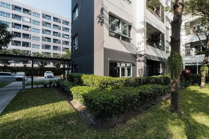 Elio Del Ray, bangkok, 95 Sukhumvit 64 Road, Bang Chak, Phra Khanong, Bangkok, 2 Bedrooms, 45 sqm, Condo For Rent, by Pinyada Hantewee, 500585269 - DDproperty.com