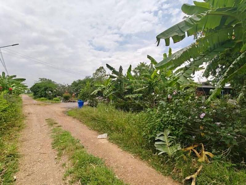 ที่ดิน 200 ตร.ว ถ.รังสิต นครนายก ซ.คลอง10 ต.บึงบา อ.หนองเสือ จ.ปทุมธานี 12170, pathum-thani, Bung Ba, Nong Sua, Pathum Thani, , 800 sqm, Land For Sale, by คุณนวไชย หาญกล้า (นาย), 500585390 - DDproperty.com