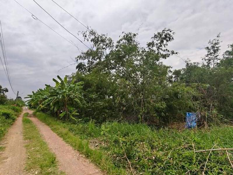ที่ดิน 200 ตร.ว ถ.รังสิต นครนายก ซ.คลอง10 ต.บึงบา อ.หนองเสือ จ.ปทุมธานี 12170, ปทุมธานี, บึงบา, หนองเสือ, ปทุมธานี, 800 ตร.ม., ที่ดิน ขาย, โดย คุณนวไชย หาญกล้า (นาย), 500585390 - DDproperty.com