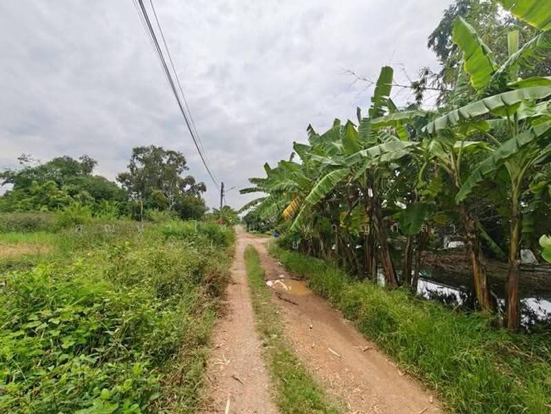 ที่ดิน 200 ตร.ว ถ.รังสิต นครนายก ซ.คลอง10 ต.บึงบา อ.หนองเสือ จ.ปทุมธานี 12170, pathum-thani, Bung Ba, Nong Sua, Pathum Thani, , 800 sqm, Land For Sale, by คุณนวไชย หาญกล้า (นาย), 500585390 - DDproperty.com