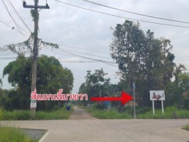 ที่ดิน 200 ตร.ว ถ.รังสิต นครนายก ซ.คลอง10 ต.บึงบา อ.หนองเสือ จ.ปทุมธานี 12170, ปทุมธานี, บึงบา, หนองเสือ, ปทุมธานี, 800 ตร.ม., ที่ดิน ขาย, โดย คุณนวไชย หาญกล้า (นาย), 500585390 - DDproperty.com