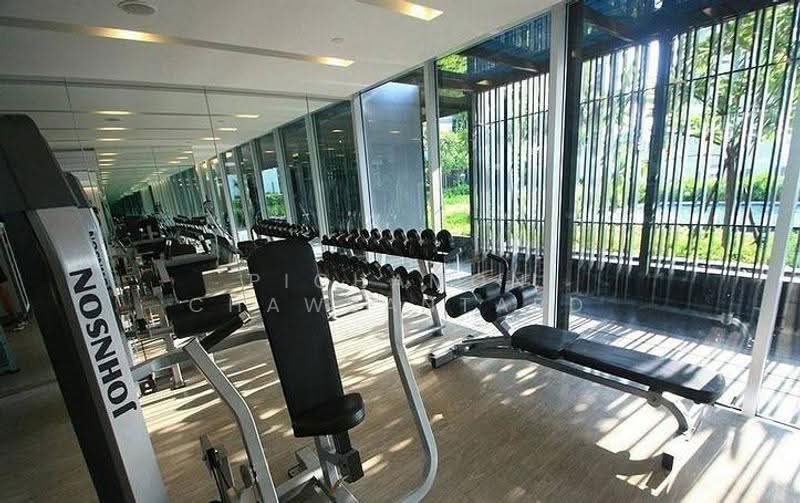 The Base Sukhumvit 77, Bangkok, 289 Sukhumvit 77 Road, Phra Kanong Nua, Watthana, Bangkok, 1 Bedroom, 30 sqm, Condo For Rent, by Pichamon Chawbantard, 500585571 - DDproperty.com