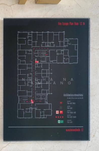 Mayfair Place Sukhumvit 50, bangkok, Soi Sukhumvit 50, Phra Kanong, Khlong Toei, Bangkok, 1 Bedroom, 38 sqm, Condo For Sale, by Nicha Na Lampang, 500585625 - DDproperty.com