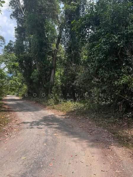 Studio House, surat-thani, Maret, Ko Samui, Surat Thani, Studio, 47 sqm, Single Detached House For Sale, by Boonyanuch Unna, 500585711 - DDproperty.com