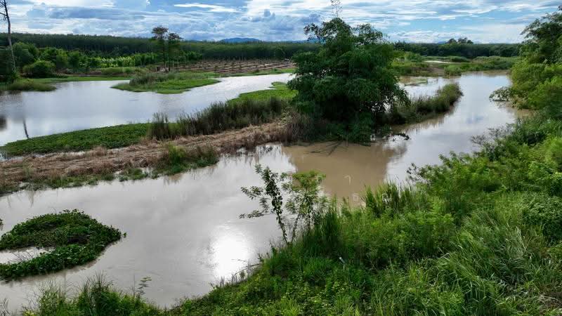 ตำบลชุมแสง อำเภอวังจันทร์ จังหวัดระยอง, rayong, Chum Saeng, Wang Chan, Rayong, , 23,424 sqm, Land For Sale, by Nattipha Thanyawat, 500585796 - DDproperty.com