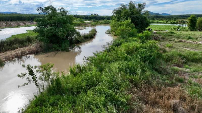ตำบลชุมแสง อำเภอวังจันทร์ จังหวัดระยอง, rayong, Chum Saeng, Wang Chan, Rayong, , 23,424 sqm, Land For Sale, by Nattipha Thanyawat, 500585796 - DDproperty.com