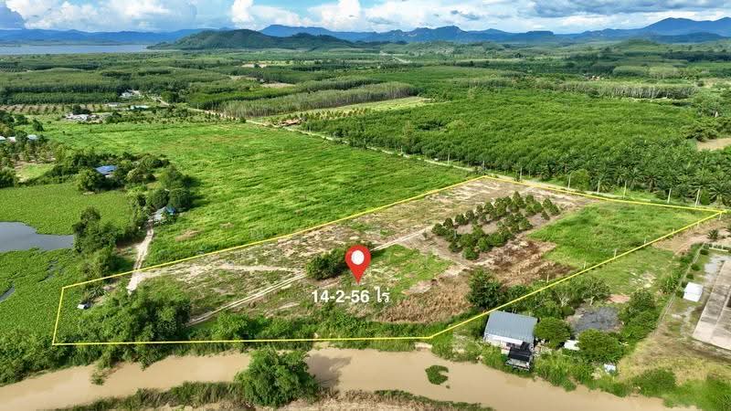 ตำบลชุมแสง อำเภอวังจันทร์ จังหวัดระยอง, rayong, Chum Saeng, Wang Chan, Rayong, , 23,424 sqm, Land For Sale, by Nattipha Thanyawat, 500585796 - DDproperty.com