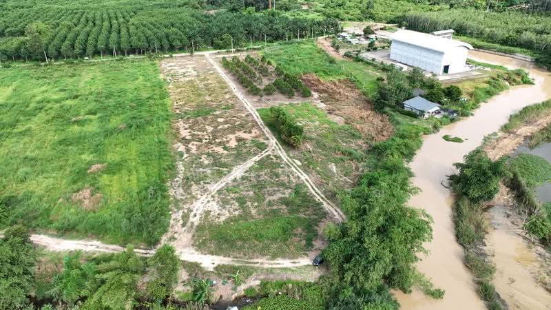 ตำบลชุมแสง อำเภอวังจันทร์ จังหวัดระยอง, rayong, Chum Saeng, Wang Chan, Rayong, , 23,424 sqm, Land For Sale, by Nattipha Thanyawat, 500585796 - DDproperty.com