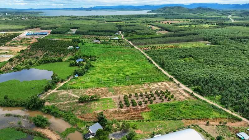 ตำบลชุมแสง อำเภอวังจันทร์ จังหวัดระยอง, rayong, Chum Saeng, Wang Chan, Rayong, , 23,424 sqm, Land For Sale, by Nattipha Thanyawat, 500585796 - DDproperty.com