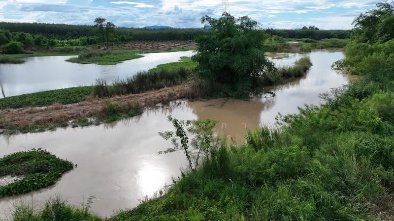 ตำบลชุมแสง อำเภอวังจันทร์ จังหวัดระยอง, rayong, Chum Saeng, Wang Chan, Rayong, , 23,424 sqm, Land For Sale, by Nattipha Thanyawat, 500585796 - DDproperty.com