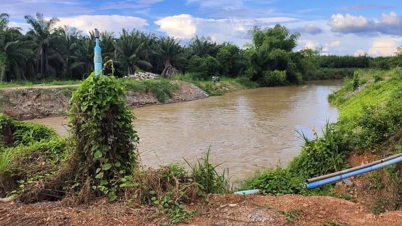 ตำบลชุมแสง อำเภอวังจันทร์ จังหวัดระยอง, rayong, Chum Saeng, Wang Chan, Rayong, , 23,424 sqm, Land For Sale, by Nattipha Thanyawat, 500585796 - DDproperty.com