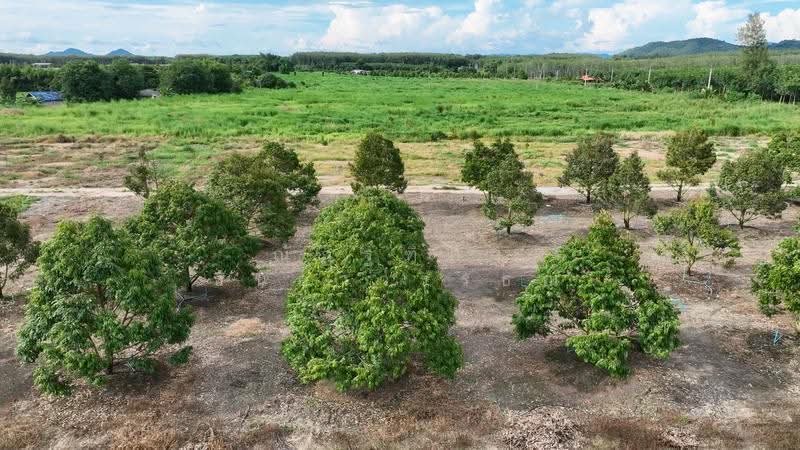 ตำบลชุมแสง อำเภอวังจันทร์ จังหวัดระยอง, rayong, Chum Saeng, Wang Chan, Rayong, , 23,424 sqm, Land For Sale, by Nattipha Thanyawat, 500585796 - DDproperty.com