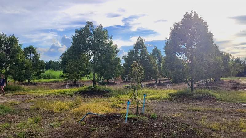 ตำบลชุมแสง อำเภอวังจันทร์ จังหวัดระยอง, rayong, Chum Saeng, Wang Chan, Rayong, , 23,424 sqm, Land For Sale, by Nattipha Thanyawat, 500585796 - DDproperty.com
