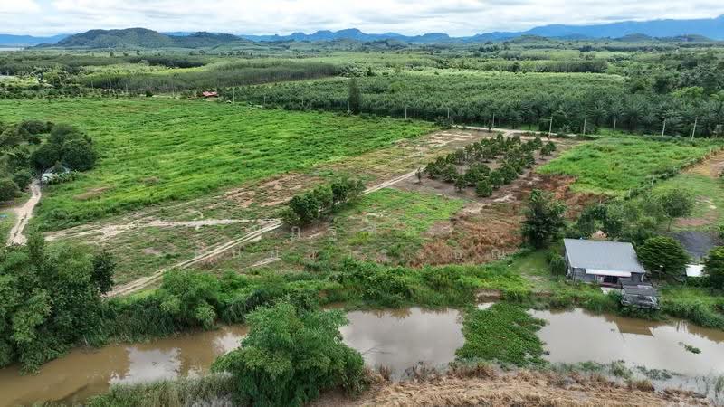 ตำบลชุมแสง อำเภอวังจันทร์ จังหวัดระยอง, rayong, Chum Saeng, Wang Chan, Rayong, , 23,424 sqm, Land For Sale, by Nattipha Thanyawat, 500585796 - DDproperty.com