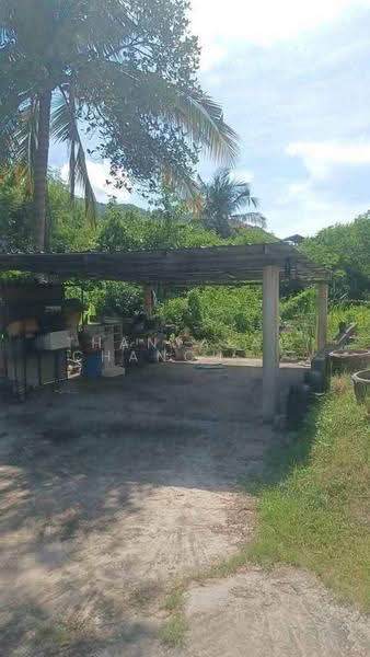 บ้าน 2-ห้องนอน, สุราษฎร์ธานี, บ่อผุด, เกาะสมุย, สุราษฎร์ธานี, 141 ตร.ม., บ้านเดี่ยว ขาย, โดย Thanyalag Chanchodtanakul, 500586028 - DDproperty.com